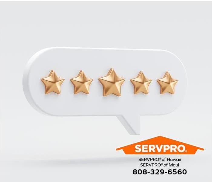 Five gold stars are shown in a review bubble.