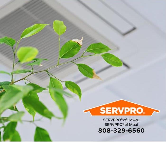 An air conditioner vent is visible in the ceiling of a home.