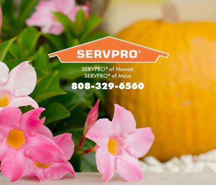 A pumpkin and tropical flowers decorate a party table.