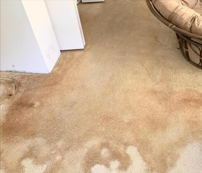 living room carpet with water stains all throughout