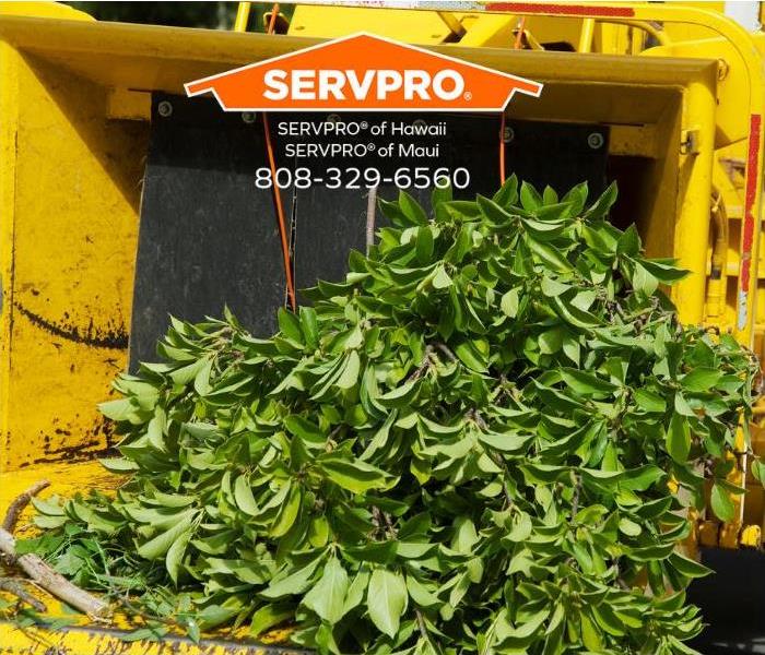 A wood chipper is turning a tree into mulch.