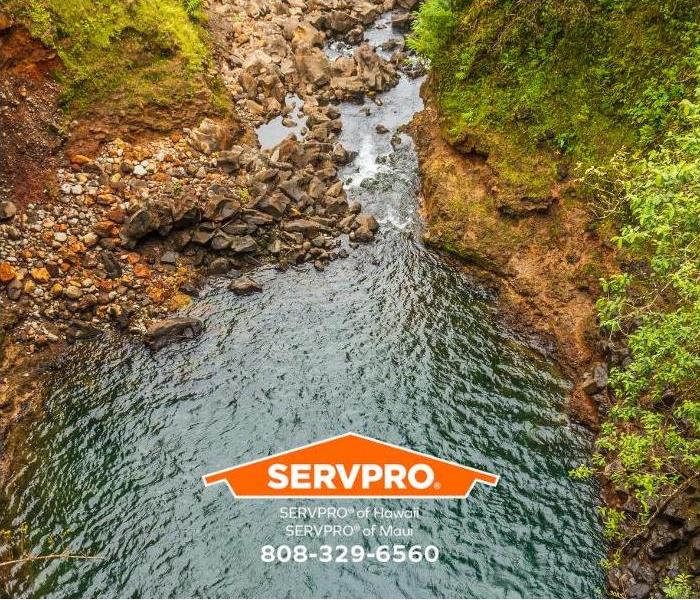 A tropical rainforest stream flows along the road to Hana, Maui.