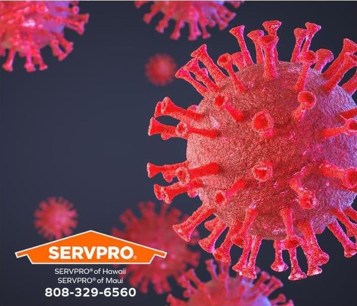 A close-up of the new coronavirus, COVID-19, is shown.