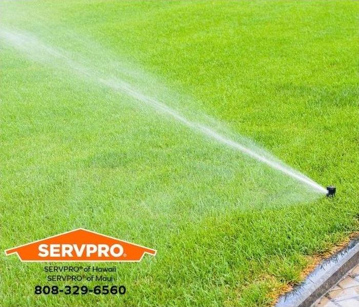 An in-ground sprinkler system waters a lawn.