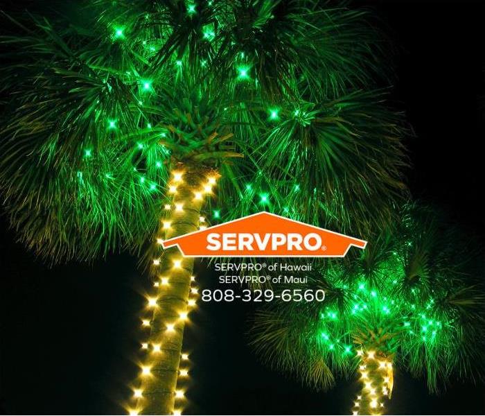 Christmas lights light up palm trees. 