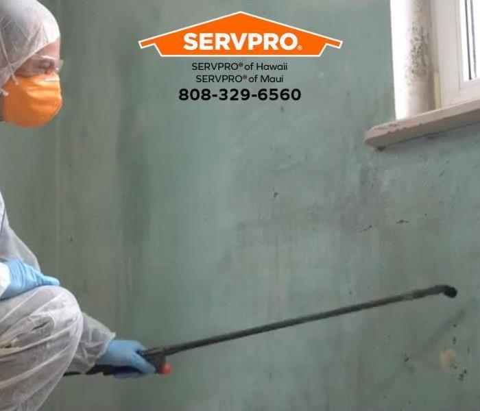 A technician treats a wall infested by mold.